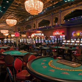 Overview of the evotaya platform categories including sports and casino games